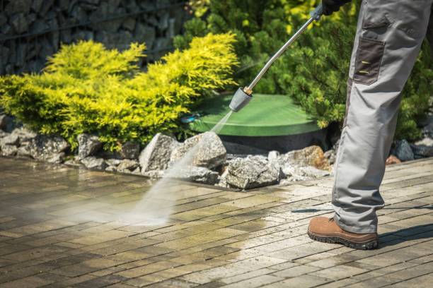 Best Winterizing Services  in Reiffton, PA